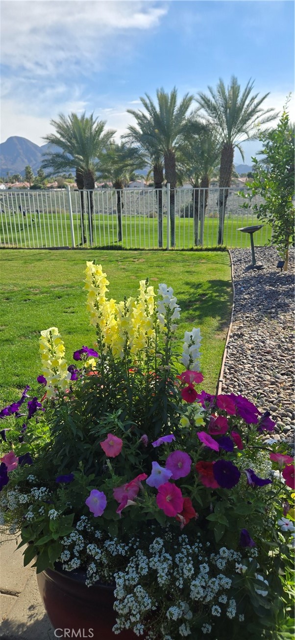 Detail Gallery Image 8 of 48 For 74567 Gary Ave, Palm Desert,  CA 92260 - 3 Beds | 2 Baths