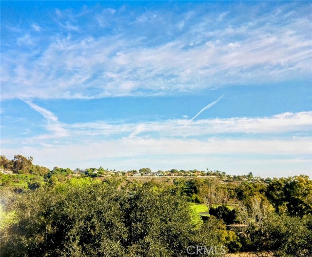 Front Image Thumbnail for CROC26022427