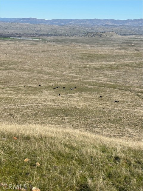 0 Robinson Road, Snelling CA: https://media.crmls.org/medias/4e891eee-6b56-43fe-aa0b-e99caca534d6.jpg