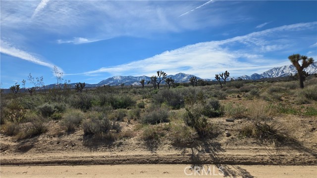 Detail Gallery Image 6 of 50 For 0 Fort Tejon Rd Vicinity 181st St E, Llano,  CA 93544 - – Beds | – Baths