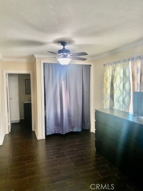 12508 Correnti Street photo 5