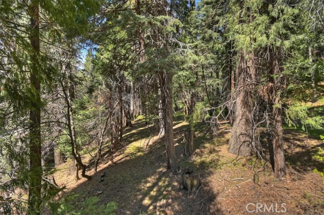 Detail Gallery Image 43 of 48 For 28730 Potomac, Lake Arrowhead,  CA 92352 - 3 Beds | 3 Baths