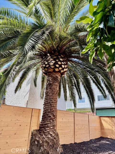 https://media.crmls.org/medias/4e94cb2b-7e1c-4817-ba6b-c72563209af5.jpg?preset=X-Large