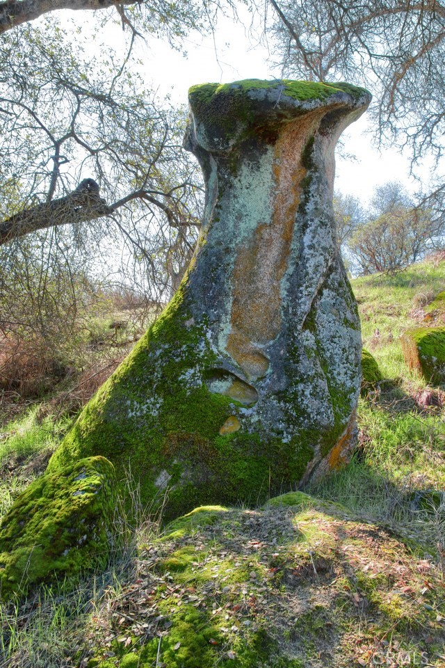 Detail Gallery Image 7 of 24 For 0 6.48 Ac Long Hollow Dr, Coarsegold,  CA 93614 - – Beds | – Baths