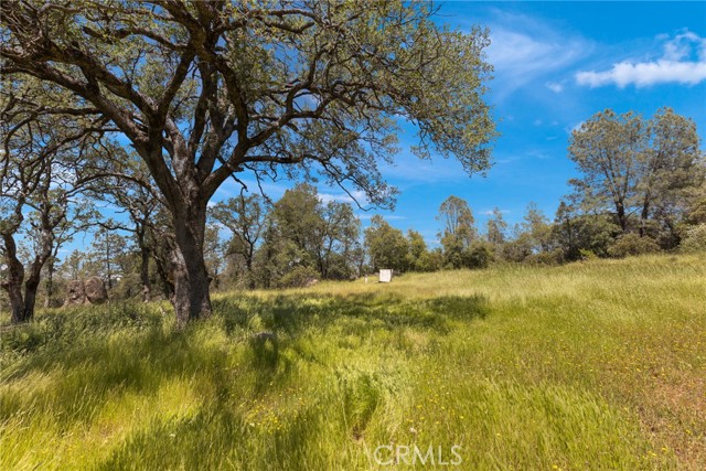 Detail Gallery Image 6 of 8 For 5 Oregon Gulch Road, Oroville,  CA 95965 - – Beds | – Baths