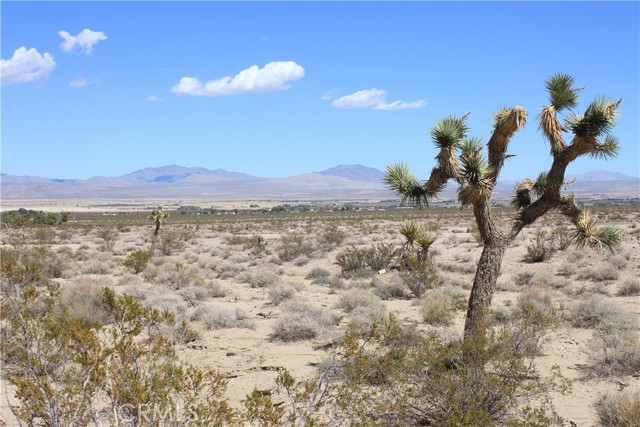 Detail Gallery Image 49 of 71 For 769 Meridian Rd, Lucerne Valley,  CA 92356 - – Beds | – Baths