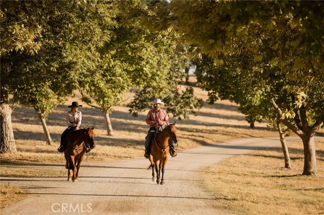 8455 Creston Road, Paso Robles, California 93446, 9 Bedrooms Bedrooms, ,7 BathroomsBathrooms,Residential,For Sale,8455 Creston Road,CRNS23023500