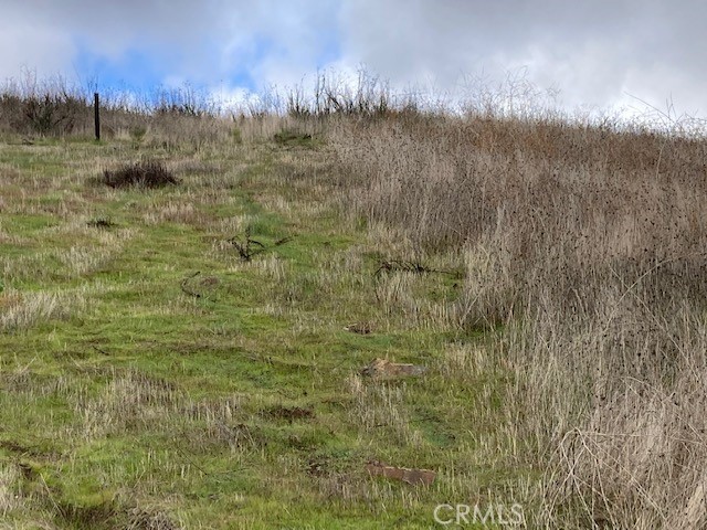 MLS #SW25049655 img 6