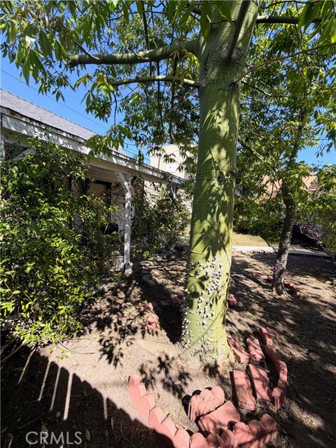 Detail Gallery Image 28 of 28 For 1042 W 15th, San Pedro,  CA 90731 - 2 Beds | 1 Baths