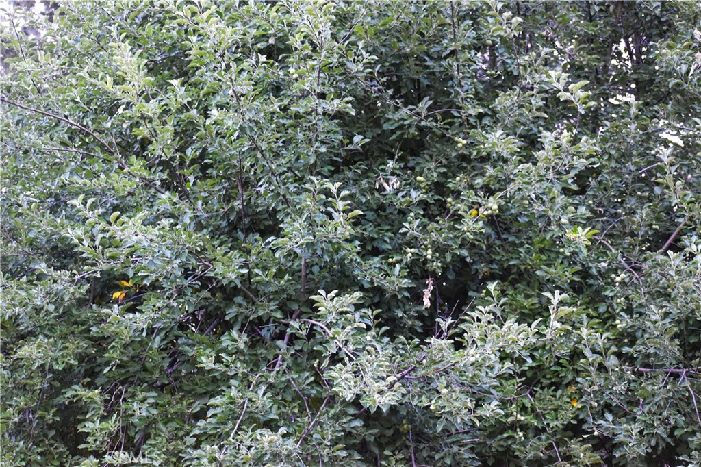 https://media.crmls.org/medias/4eb4d2e6-57dd-481e-b71e-253338ba93d6.jpg?preset=X-Large