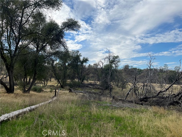 Detail Gallery Image 20 of 69 For 4934 Guadalupe Fire, Catheys Valley,  CA 95306 - – Beds | – Baths