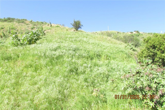 Detail Gallery Image 3 of 51 For 8001 Denivelle Rd., Sunland,  CA 91040 - – Beds | – Baths