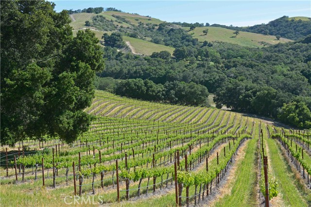 Detail Gallery Image 7 of 36 For 0 Adelaida Road, Paso Robles,  CA 93446 - – Beds | – Baths