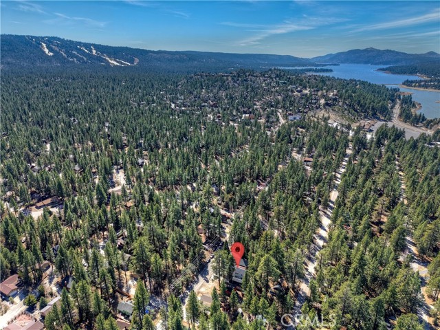 Detail Gallery Image 48 of 50 For 911 Sugarloaf, Big Bear City,  CA 92314 - 3 Beds | 3 Baths