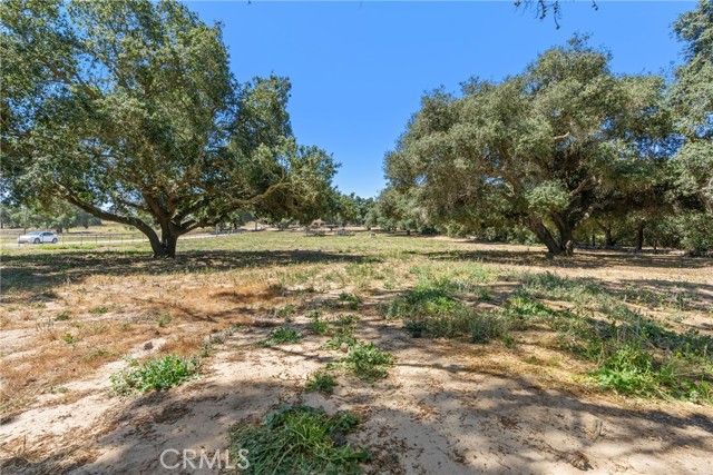 1529 Pomeroy Road, Arroyo Grande CA: https://media.crmls.org/medias/4ec6ee03-6067-42d5-a1ed-a2a9cb78a576.jpg