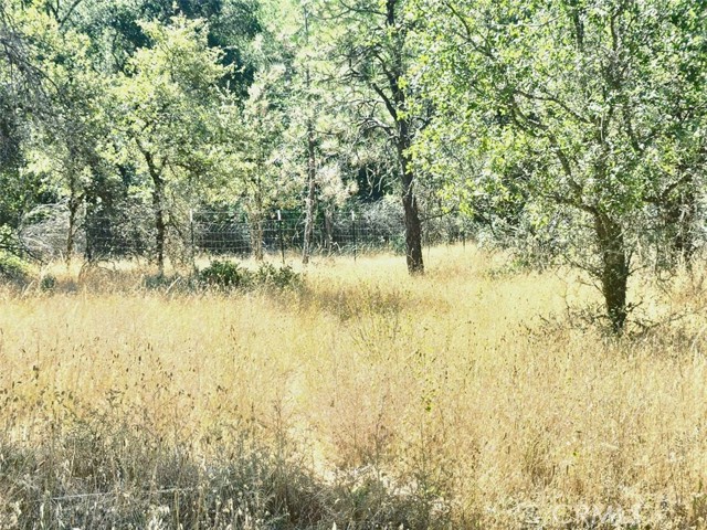 Detail Gallery Image 3 of 21 For 48 Rices Texas Hill Rd, Oregon House,  CA 95962 - – Beds | – Baths