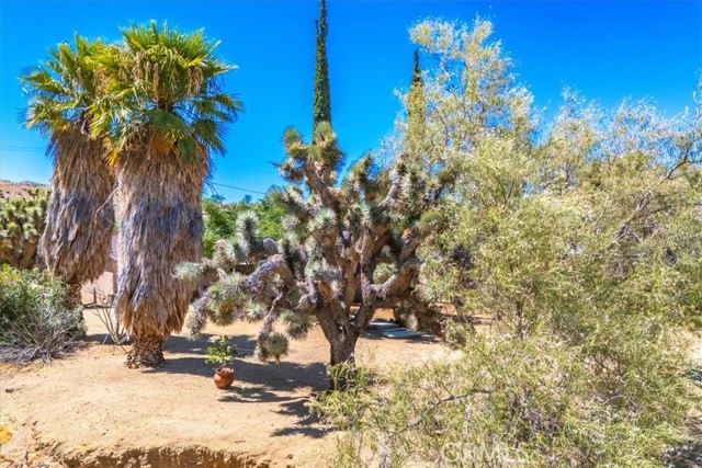 Detail Gallery Image 33 of 63 For 56469 Carlyle Dr, Yucca Valley,  CA 92284 - 2 Beds | 1 Baths