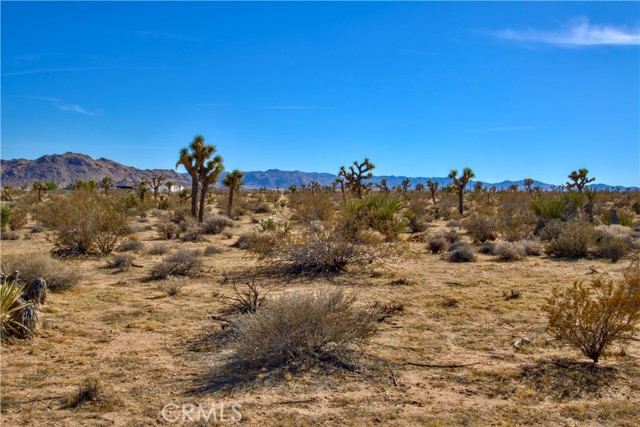 Detail Gallery Image 5 of 21 For 38 Lot 38 La Crescenta Dr, Yucca Valley,  CA 92284 - – Beds | – Baths