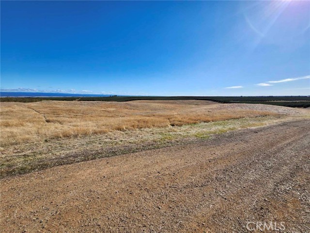 Detail Gallery Image 20 of 22 For 0 087-250-008-000, Corning,  CA 96021 - – Beds | – Baths