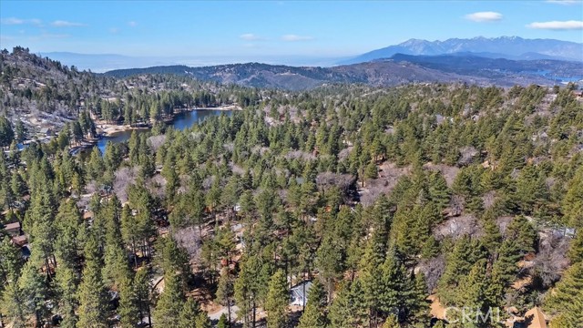 Detail Gallery Image 8 of 41 For 33338 Wild Rose, Green Valley Lake,  CA 92341 - 3 Beds | 2/1 Baths