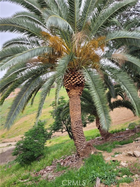 29400 Nichols Street, Lake Elsinore CA: https://media.crmls.org/medias/4ee04679-3c76-4307-84a9-a3ad61e364ef.jpg
