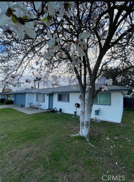 Front Image Thumbnail for CRFR26016281