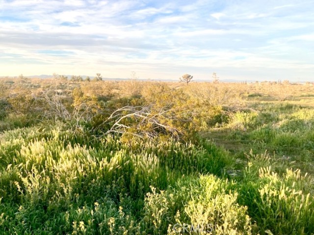 Detail Gallery Image 7 of 7 For 0 Marco Rd, Phelan,  CA 92329 - – Beds | – Baths