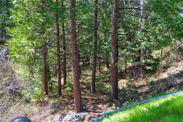 Detail Gallery Image 27 of 30 For 0 Dogwood Creek Dr, Bass Lake,  CA 93604 - – Beds | – Baths