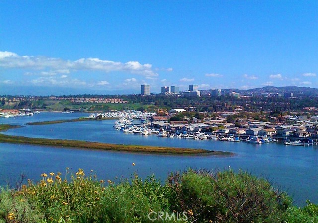 Detail Gallery Image 21 of 40 For 311 Concord Ln, Newport Beach,  CA 92660 - 2 Beds | 2 Baths