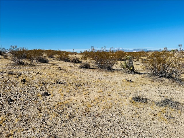 Detail Gallery Image 5 of 9 For 23 Avenida Del Sol, Joshua Tree,  CA 92252 - – Beds | – Baths