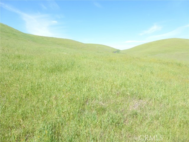 Detail Gallery Image 3 of 44 For 0 Douglas Rd. (Lot 34), San Miguel,  CA 93451 - – Beds | – Baths