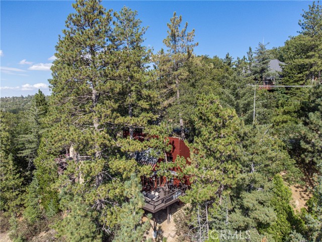 1370 Calgary Drive, Lake Arrowhead CA: https://media.crmls.org/medias/4ef19b8d-4d6e-4e9d-ae64-545b6a325e95.jpg