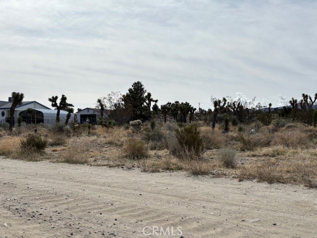 Detail Gallery Image 1 of 1 For 0 Mono Rd, Pinon Hills,  CA 92372 - – Beds | – Baths