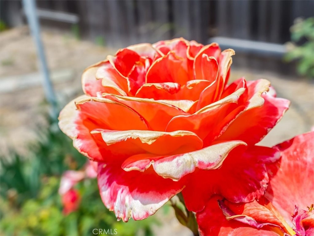 https://media.crmls.org/medias/4ef38c10-e624-4d4e-8c5a-0191f322fc56.jpg?preset=X-Large