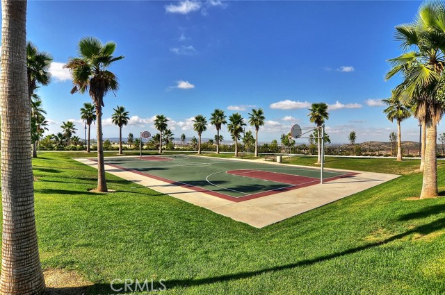 Image 46 of 59 For 12 Belladonna