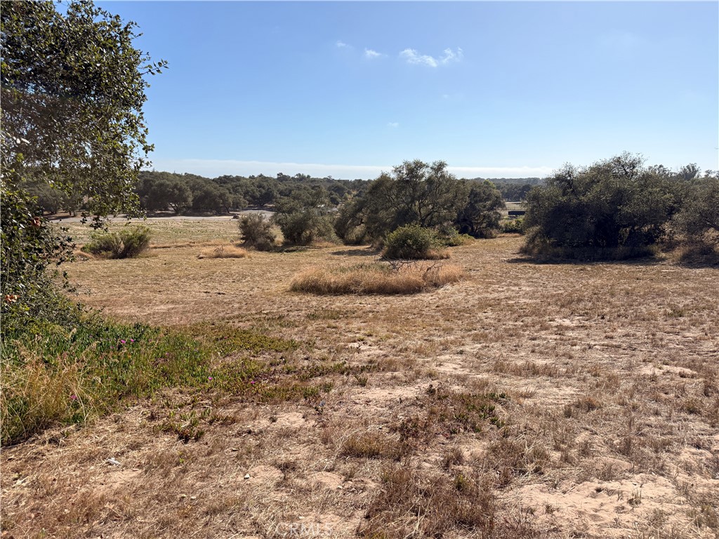 MLS #PI26151792 image #4