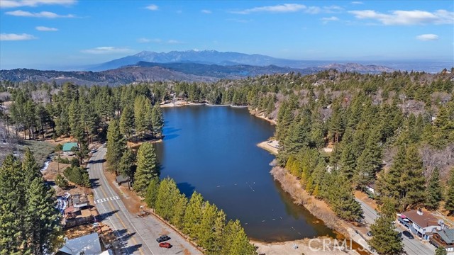 Detail Gallery Image 9 of 41 For 33338 Wild Rose, Green Valley Lake,  CA 92341 - 3 Beds | 2/1 Baths