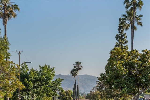 1177 Norwich Lane, Ventura CA: https://media.crmls.org/medias/4f06a7b2-5a5e-42b5-bd0a-4843b7072941.jpg