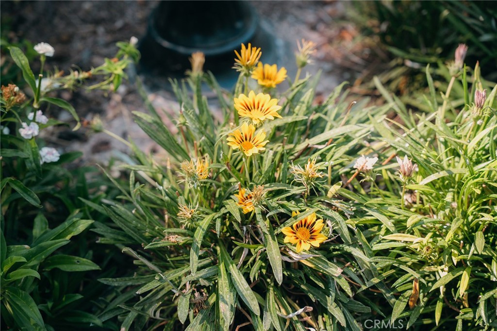 https://media.crmls.org/medias/4f0b1980-b42f-462c-b3cb-adef52cd3d48.jpg?preset=X-Large