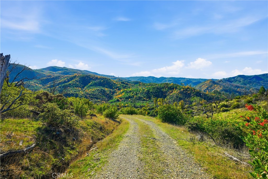 MLS #LC25273256 image #11