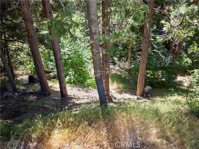 356 Ca-173, Lake Arrowhead CA: https://media.crmls.org/medias/4f130625-eb84-4f9e-8075-44bd2b0ab27a.jpg