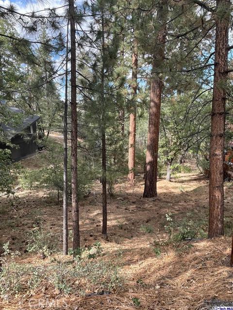 600 Travertine Road, Big Bear City, California 92314, ,Land,For Sale,600 Travertine Road,CRGD24038004