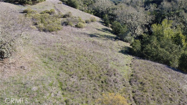 Detail Gallery Image 8 of 11 For 0 El Monte, Templeton,  CA 93465 - – Beds | – Baths