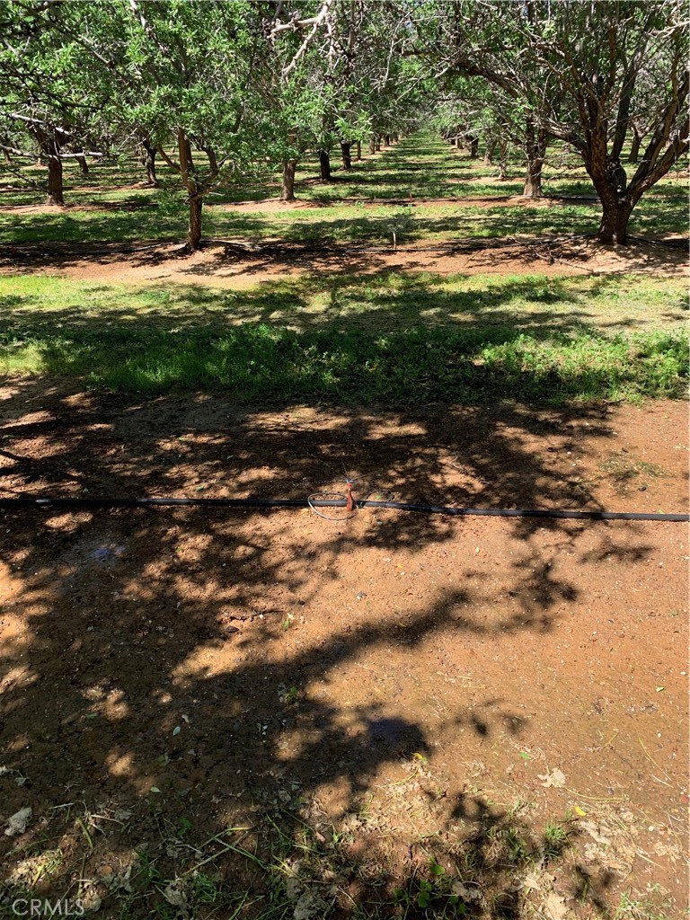 4400 Kopta, Corning, CA 96021