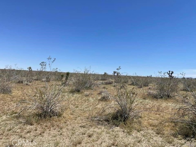 0 -Dos Palmas Rd., Pinon Hills, California 92372, ,Land,For Sale,0 -Dos Palmas Rd.,CREV23199555