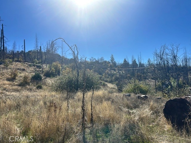 Detail Gallery Image 12 of 39 For 0 Craig Access, Feather Falls,  CA 95940 - – Beds | – Baths