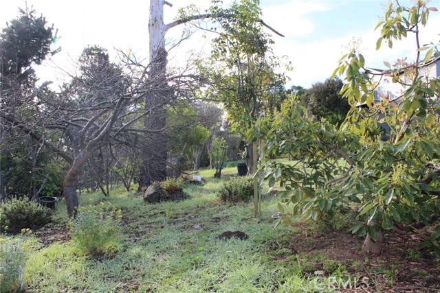 Detail Gallery Image 37 of 41 For 1909 Pineridge, Cambria,  CA 93428 - 2 Beds | 2 Baths