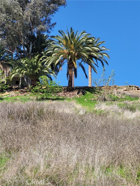 29400 Nichols Street, Lake Elsinore CA: https://media.crmls.org/medias/4f24539e-6e2a-44ec-b2d6-8f3fe4ca40d4.jpg