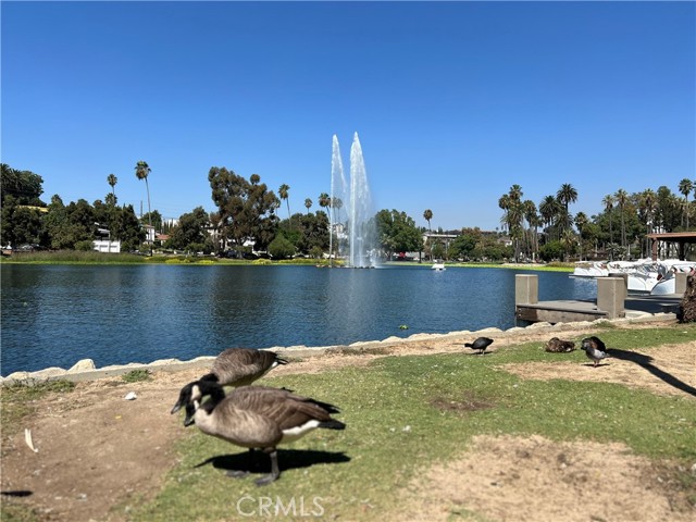 Detail Gallery Image 20 of 22 For 282 Belmont Ave #1/2,  Los Angeles,  CA 90026 - 0 Beds | 1 Baths