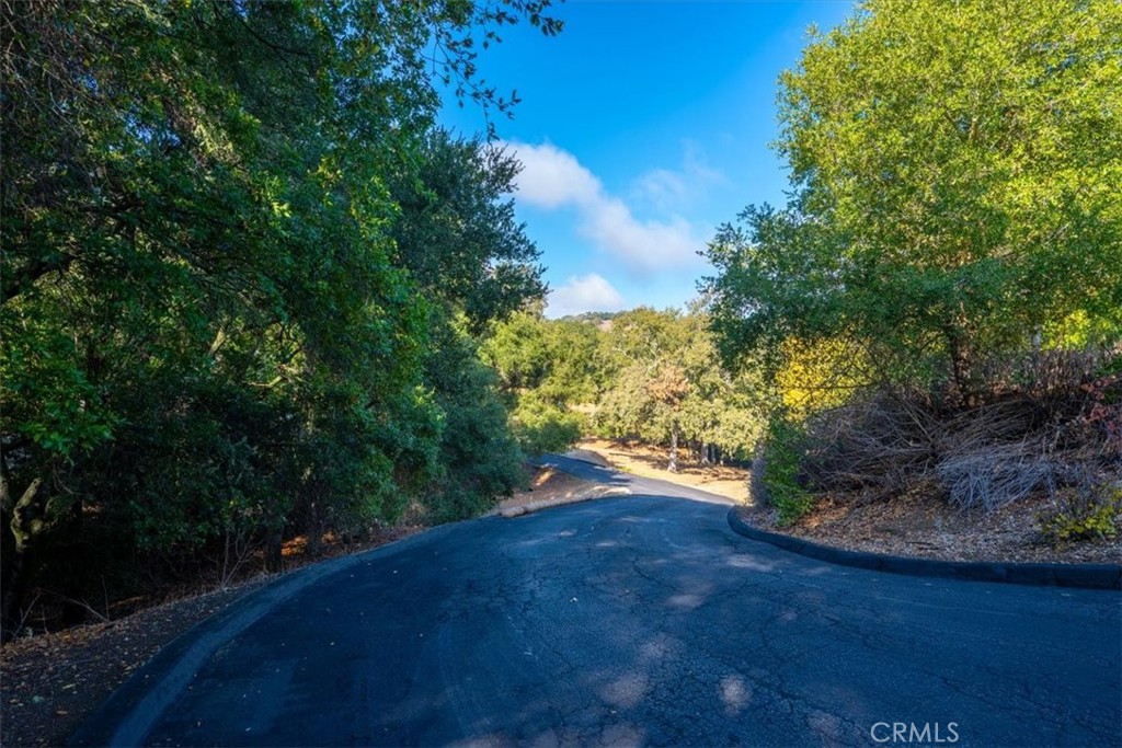 MLS #SC25250440 image #43